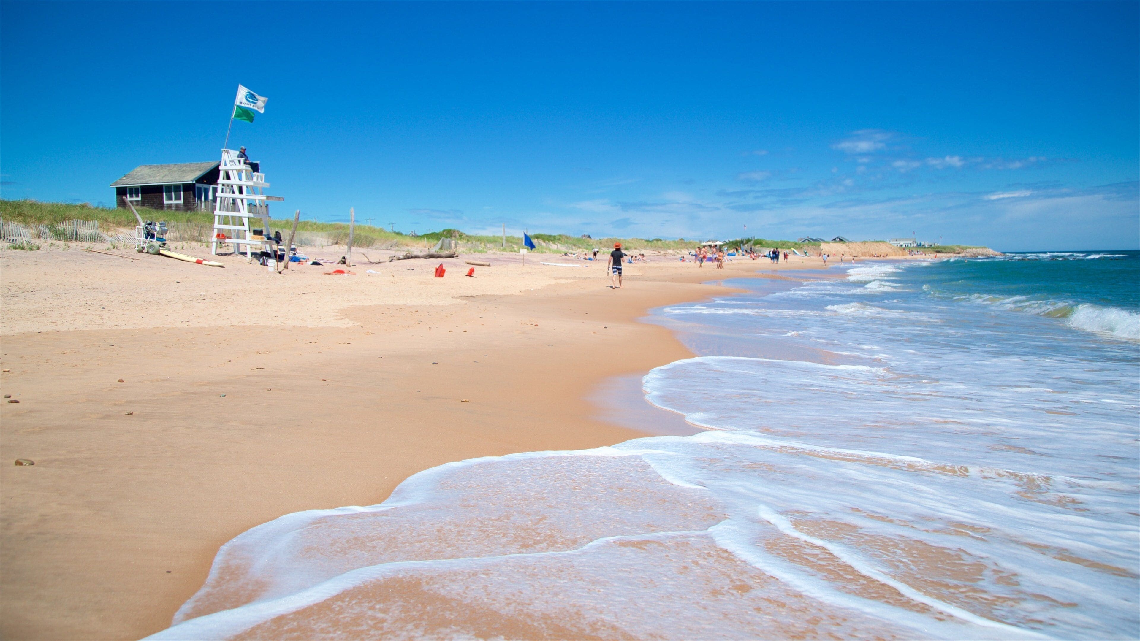 Ditch Plains live conditions